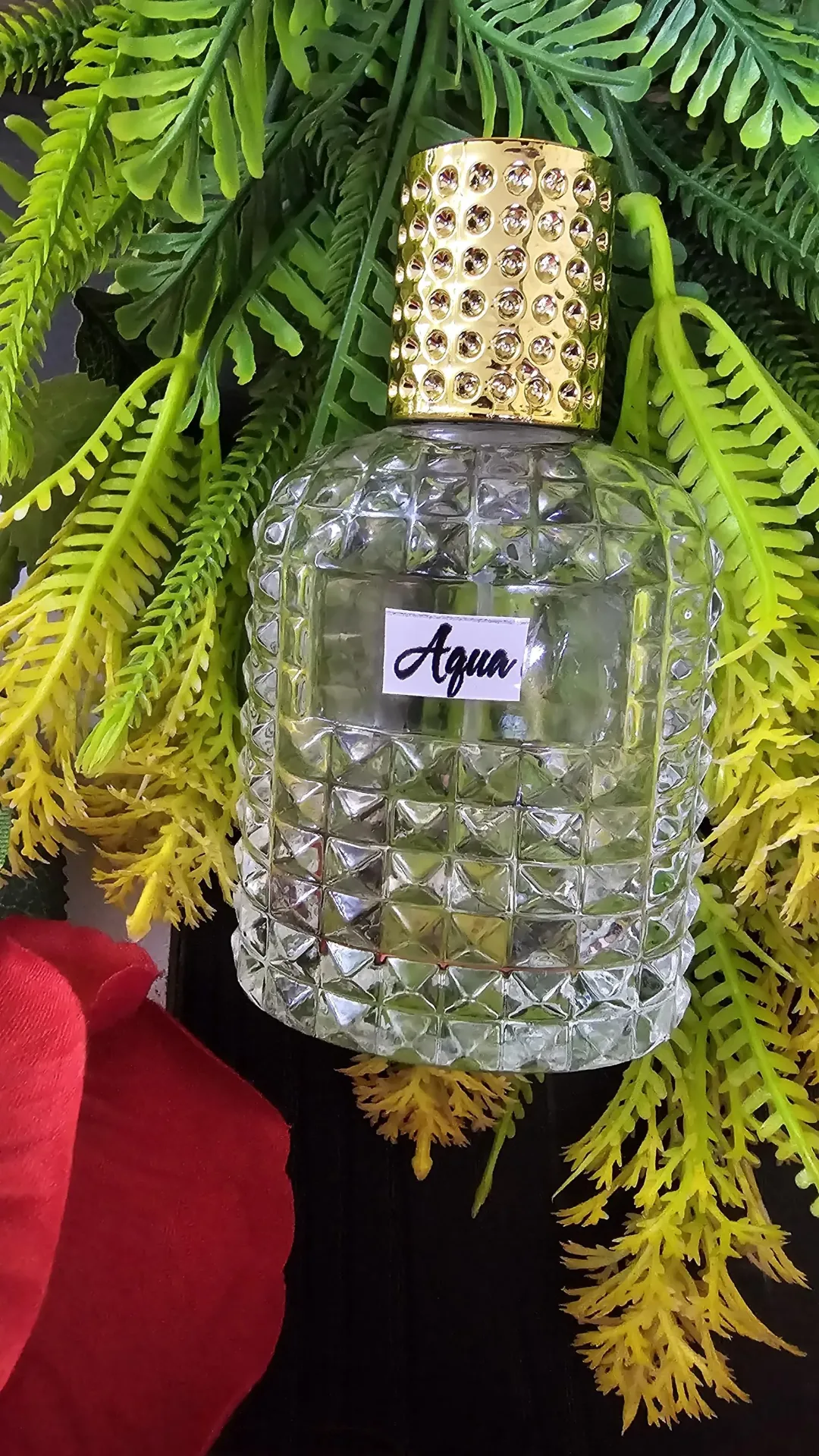 BCubeclassics Aqua Perfume - Image 1
